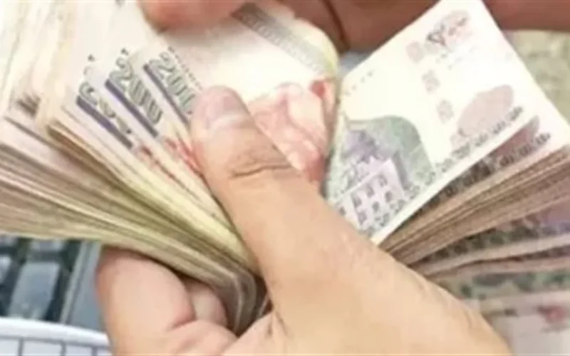 بداية يناير 2026.. جدول زمني لتحديد فئات صرف رواتب الموظفين في الدولة